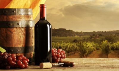 Sagra del vino novello