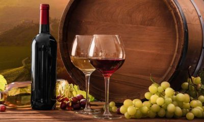 Migliori vini di Puglia