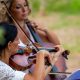 Musica classica sotto le querce del bosco delle Pianelle