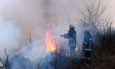Puglia, lotta agli incendi boschivi con il progetto internazionale Silvanus