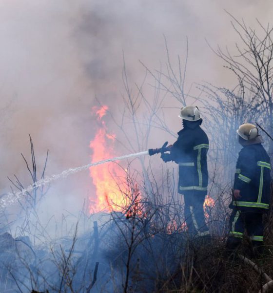 Puglia, lotta agli incendi boschivi con il progetto internazionale Silvanus
