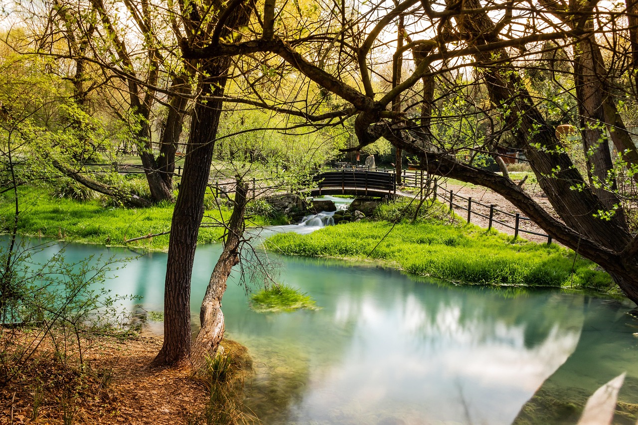 Panorama dei luoghi naturali nei pressi della Foresta Umbra, con alberi e sentieri da esplorare.