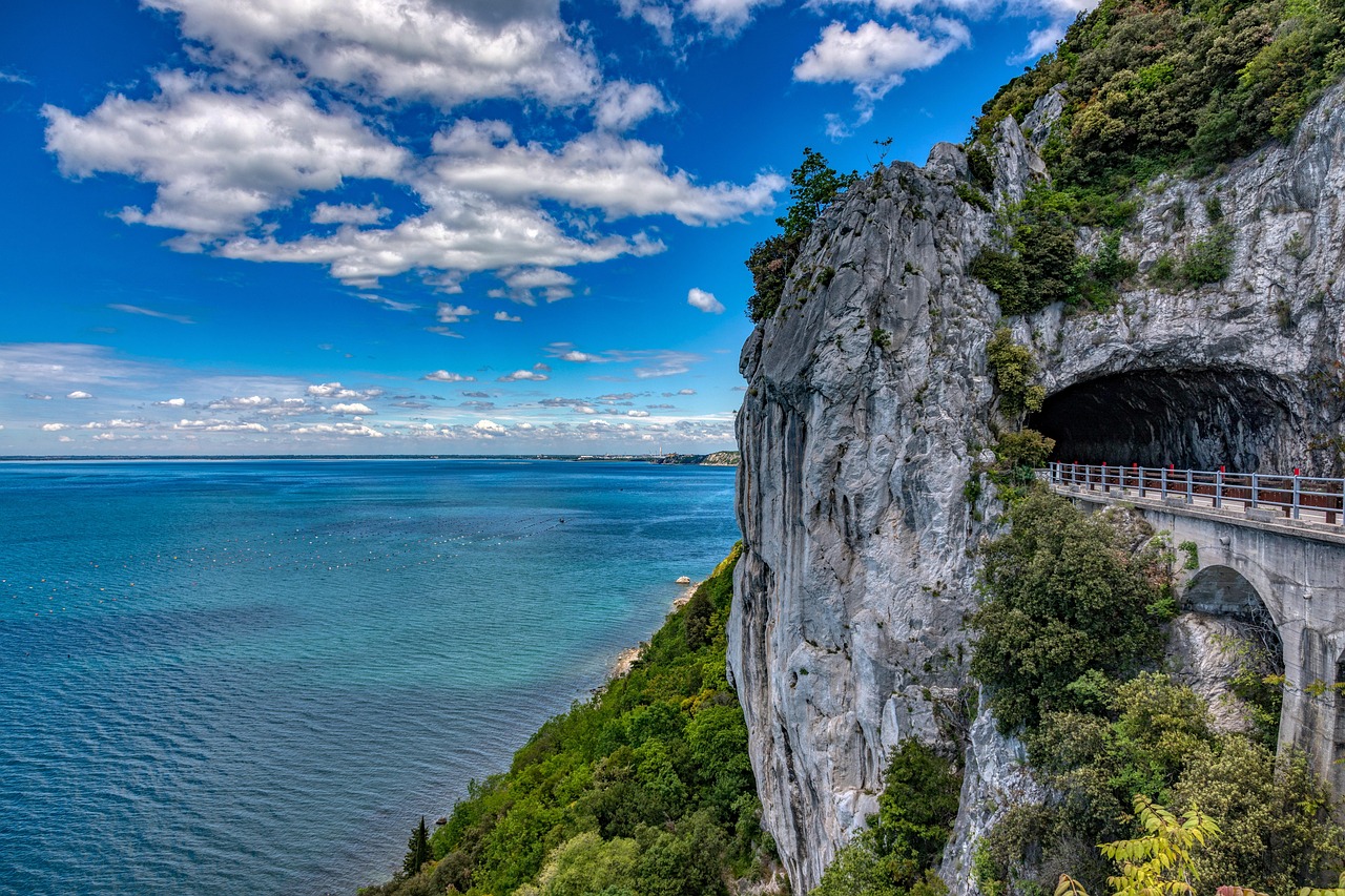 Panorama del Parco del Gargano, con sentieri immersi nella natura e vegetazione tipica.