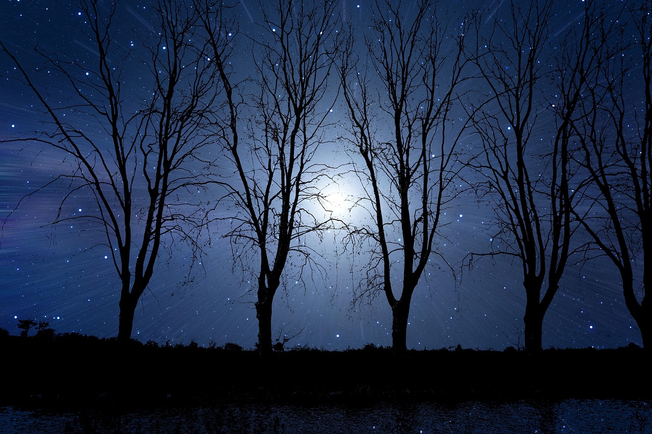 Immagine evocativa con citazioni profonde per una buonanotte serena e riflessiva.