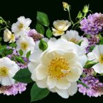 Bordura fiorita fai da te con piante colorate per un giardino sorprendente e vivace.