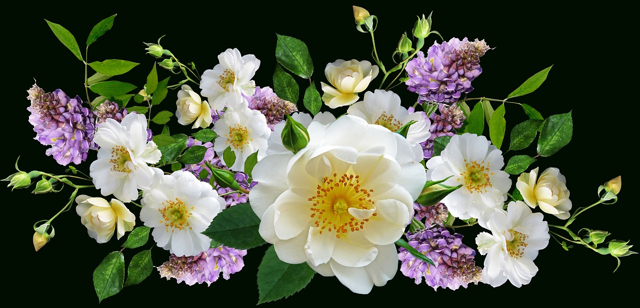 Bordura fiorita fai da te con piante colorate per un giardino sorprendente e vivace.