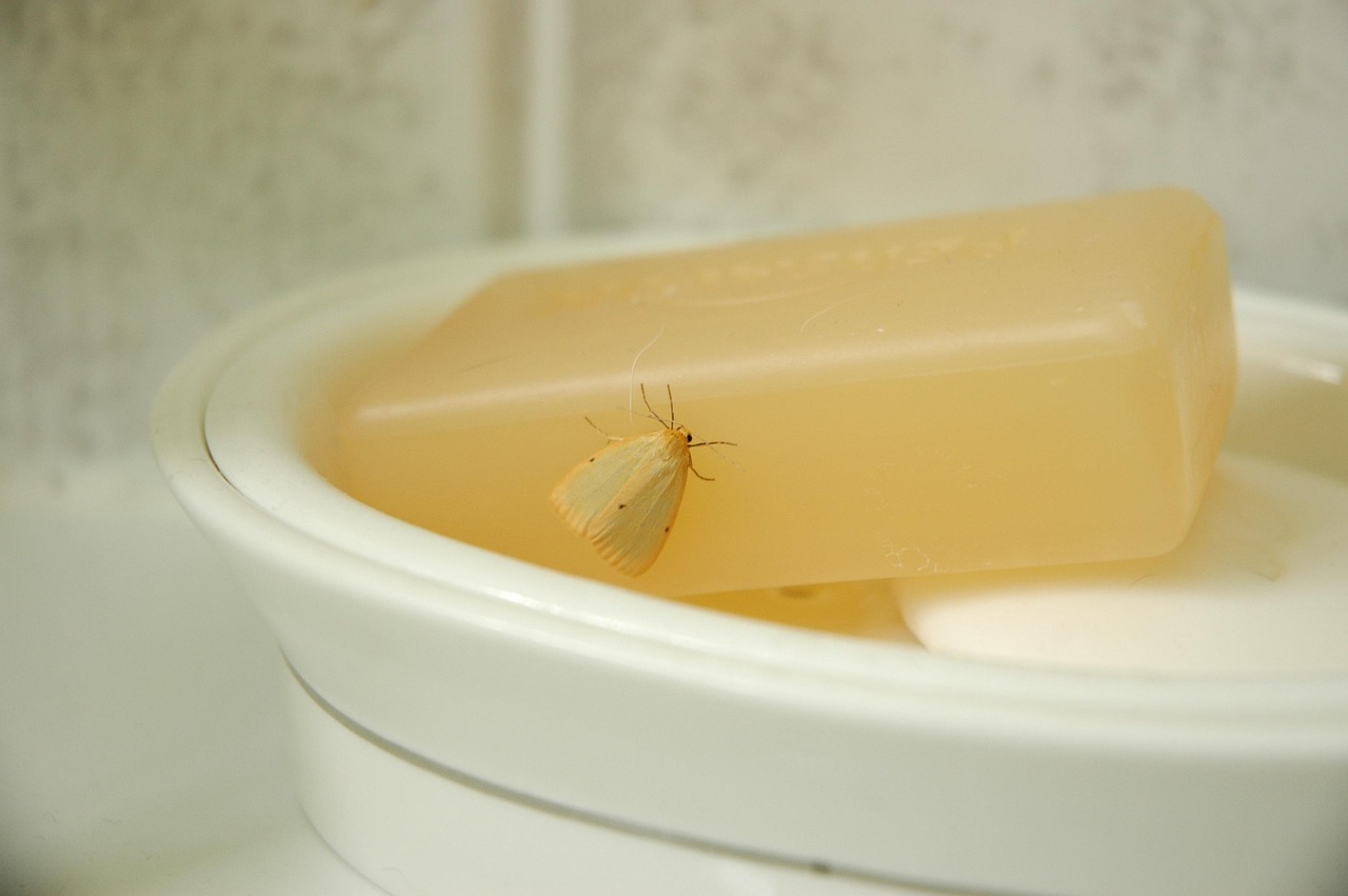 Immagine di pesciolini d'argento su un pavimento di bagno, con rimedi naturali in evidenza.