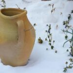 Giardino invernale: piante protette, foglie raccolte e attrezzi per la preparazione invernale.