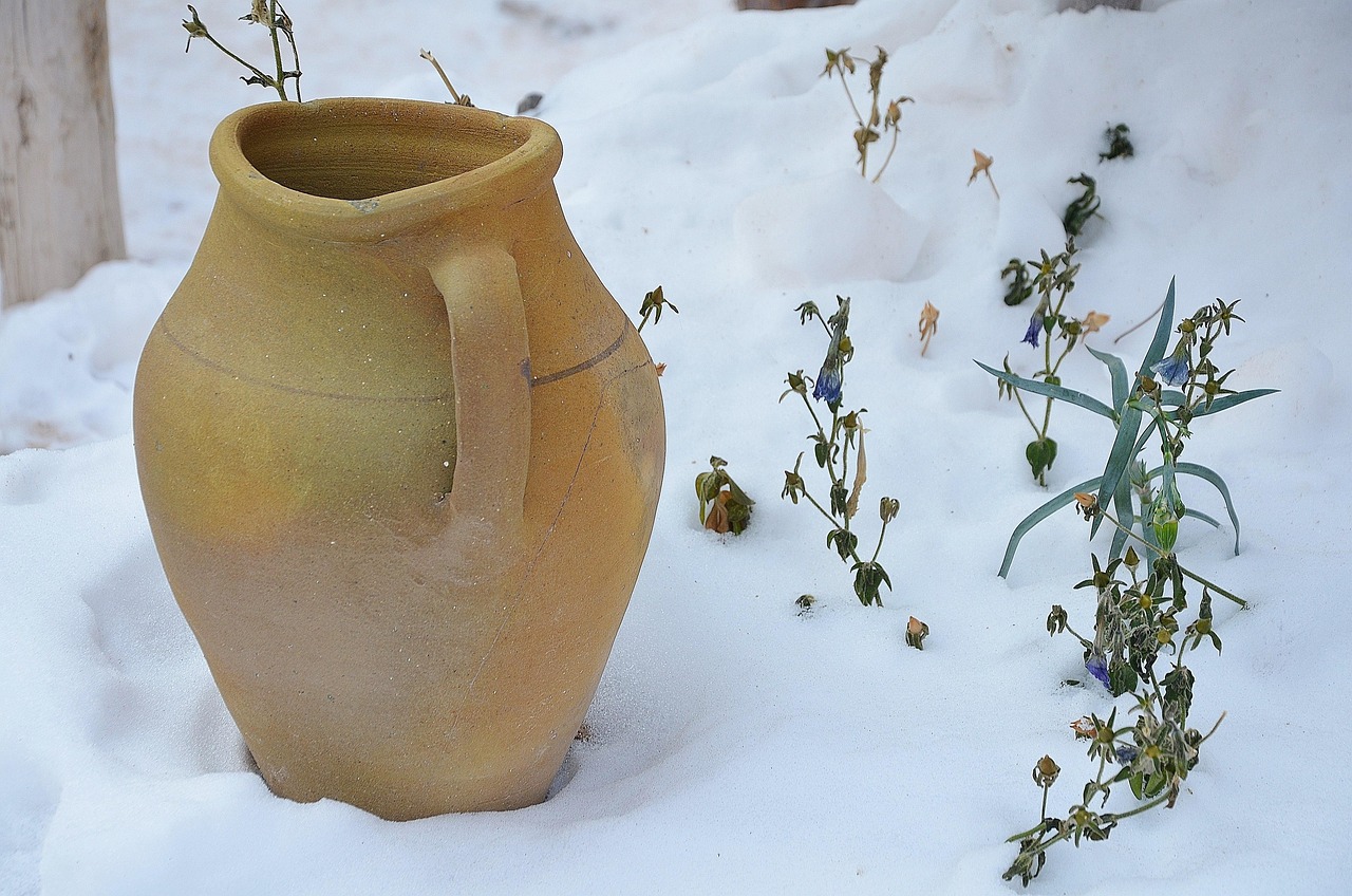 Giardino invernale: piante protette, foglie raccolte e attrezzi per la preparazione invernale.