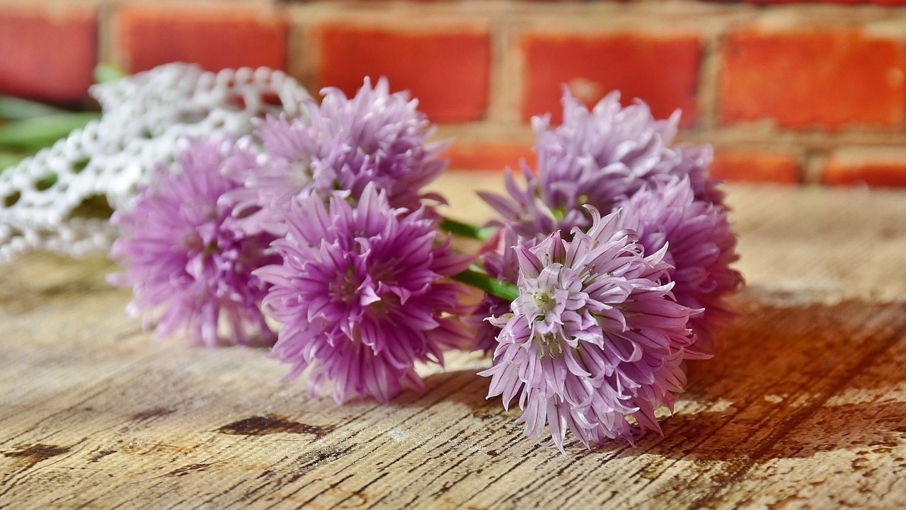 Fiori commestibili colorati in un giardino, pronti per essere raccolti e usati in cucina.