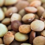 Legumi freschi in un piatto, simbolo di salute e benessere per il colesterolo.