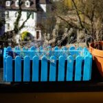 Piante fresche e rigogliose nel balcone di un appartamento, pronte per essere coltivate in primavera.