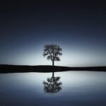 Immagine con citazioni ispiratrici sulla vita per la buonanotte, 8 aprile 2026.